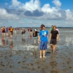 Wattwandern an der Nordsee 680