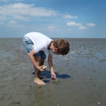Niedrigwasser im Wattenmeer