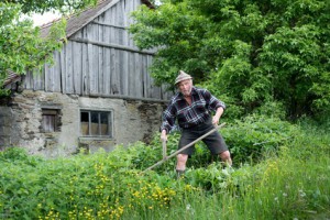 Bauer mäht vor Bauernhof