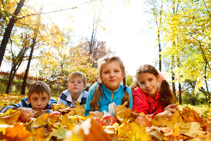 © Anatoliy Samara - Fotolia.com