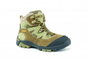 176_Solar_gt_olive_forest