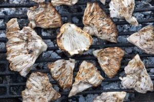 BBQ grill â crips mushrooms on Roast (honey agaric)