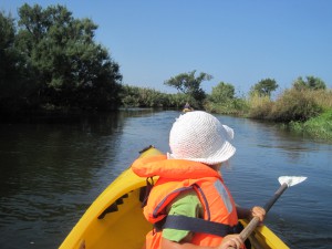 IMG_3672