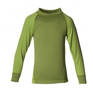 102_ParrotGreen 4080