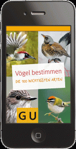 Vögel bestimmen - 72dpi-1