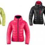 Eider Kopie