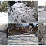 Winter Collage