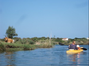 sardinien Kopie