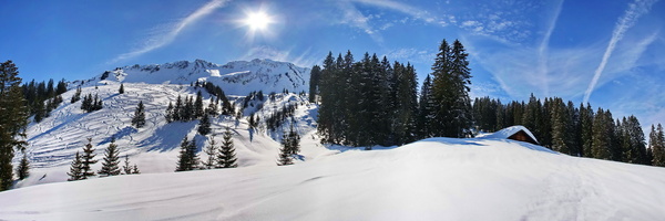 Durch den verschneiten auf Schneeschuhen Bayerischen Wald geht es am 19.Januar unter Führung von einem Förster. Foto: © fotoping - Fotolia.com