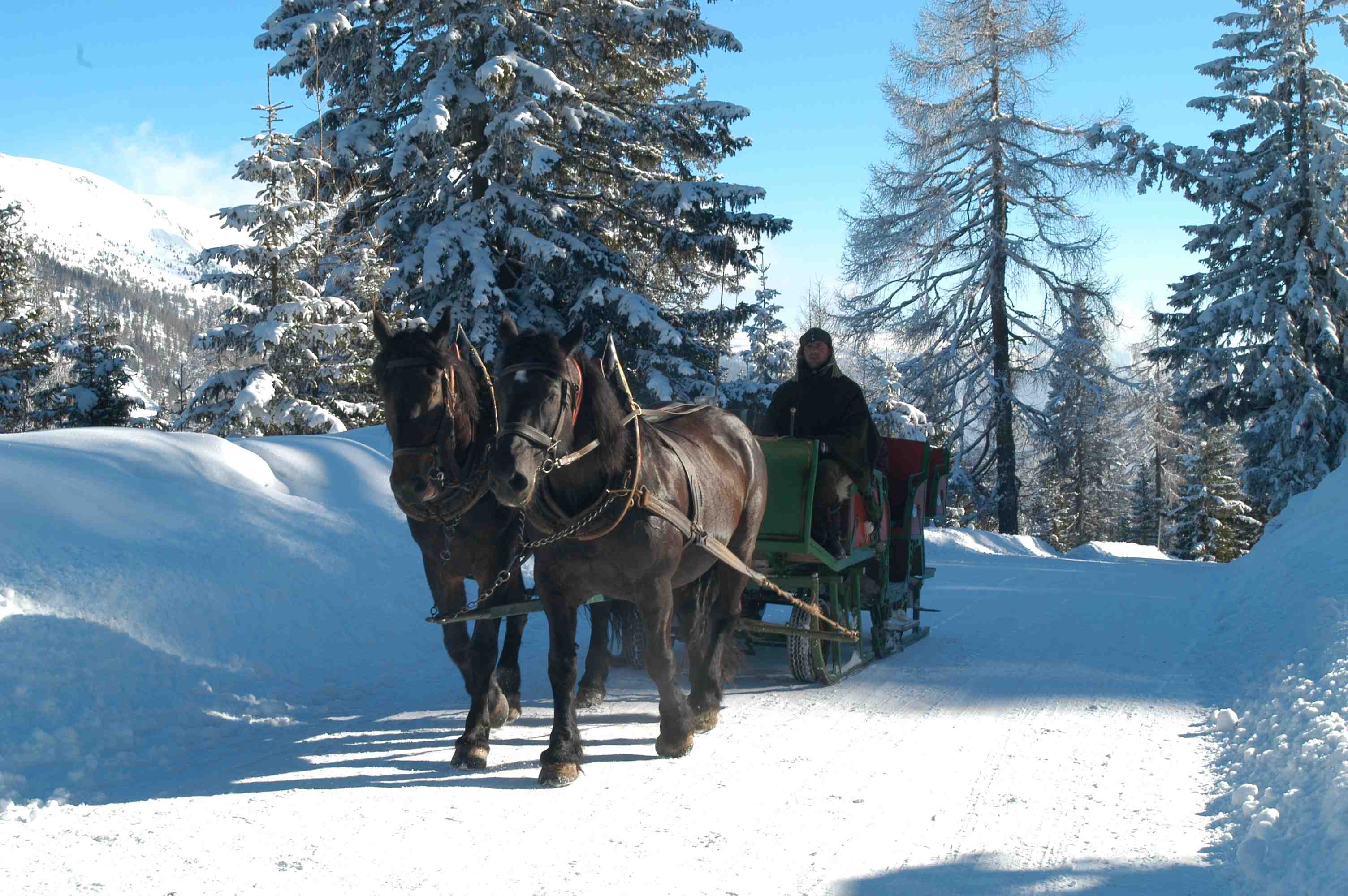 Mit der Pferdekutsche am verschneiten Katschberg. In der Winter Pony Welt können die Kinder nach Lust und Laune spielen. Das Beste sind natürlich die Ponys. Foto: (c) Tourismusregion Katschberg