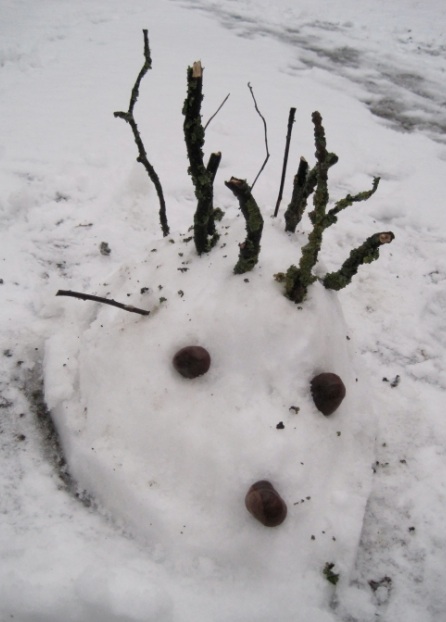 schneeigel Kopie