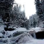 Hier rauscht die Obere Argen durch den winterlichen Eistobel. Foto: (c) Kinderoutdoor.de