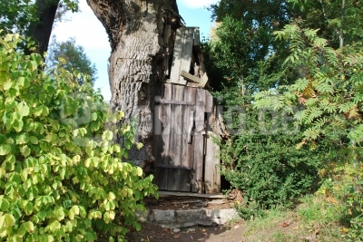 Ein Baumhaus auf der Pfaueninsel weckt in den Kindern den Abenteuergeist! Foto: Uwe Wattenberg / pixelio.de