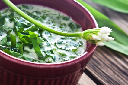 Unkraut in den Teller! Heute kochen die Outdoor Kinder eine leckere Bärlauchsuppe. Foto: (c) © PhotoSG - Fotolia.com