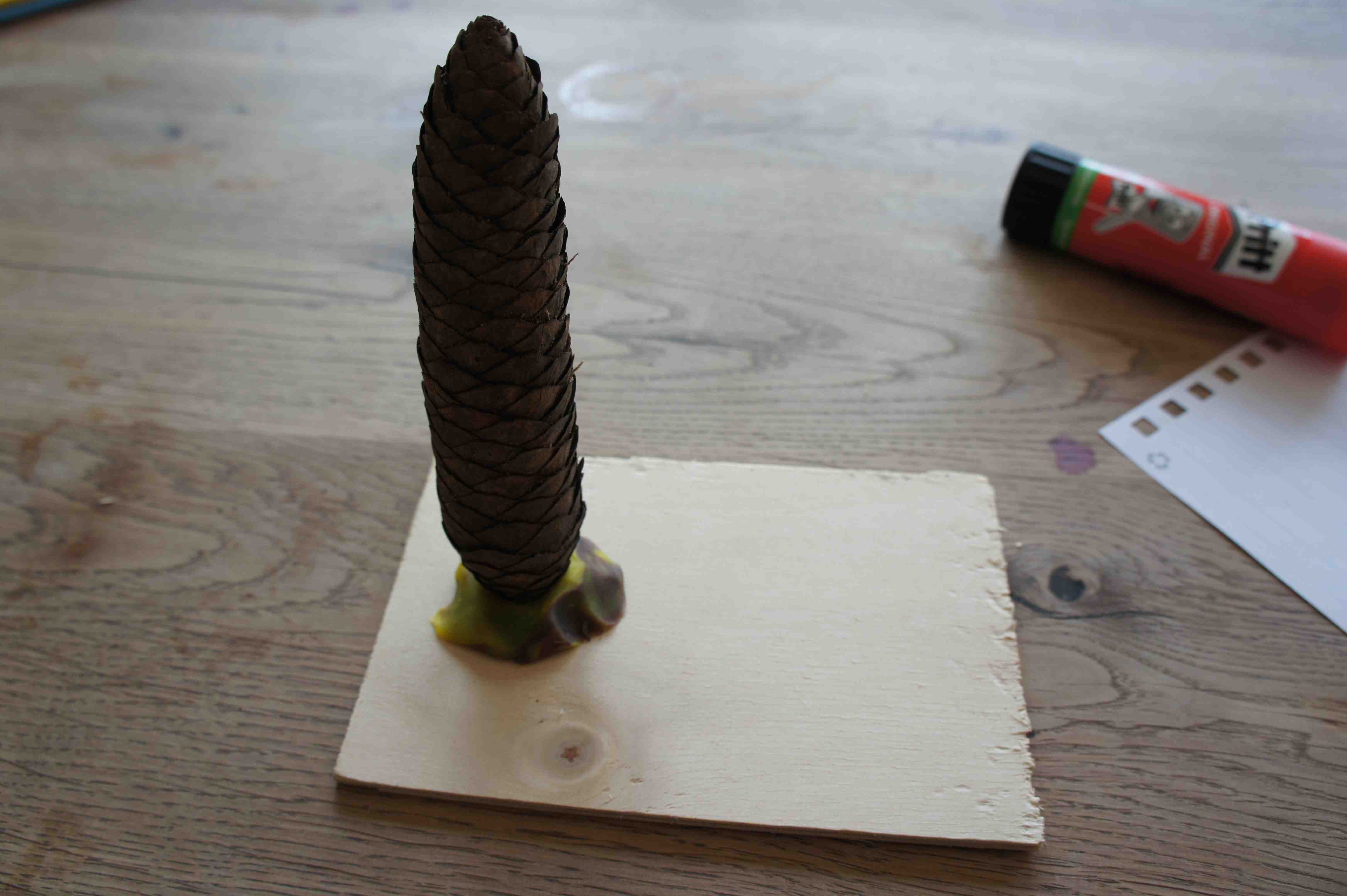 Mit Hilfe der Knetmasse befestigt Ihr den Fichtenzapfen am Rande vom Holzbrettchen. Foto: (c) Kinderoutdoor.de