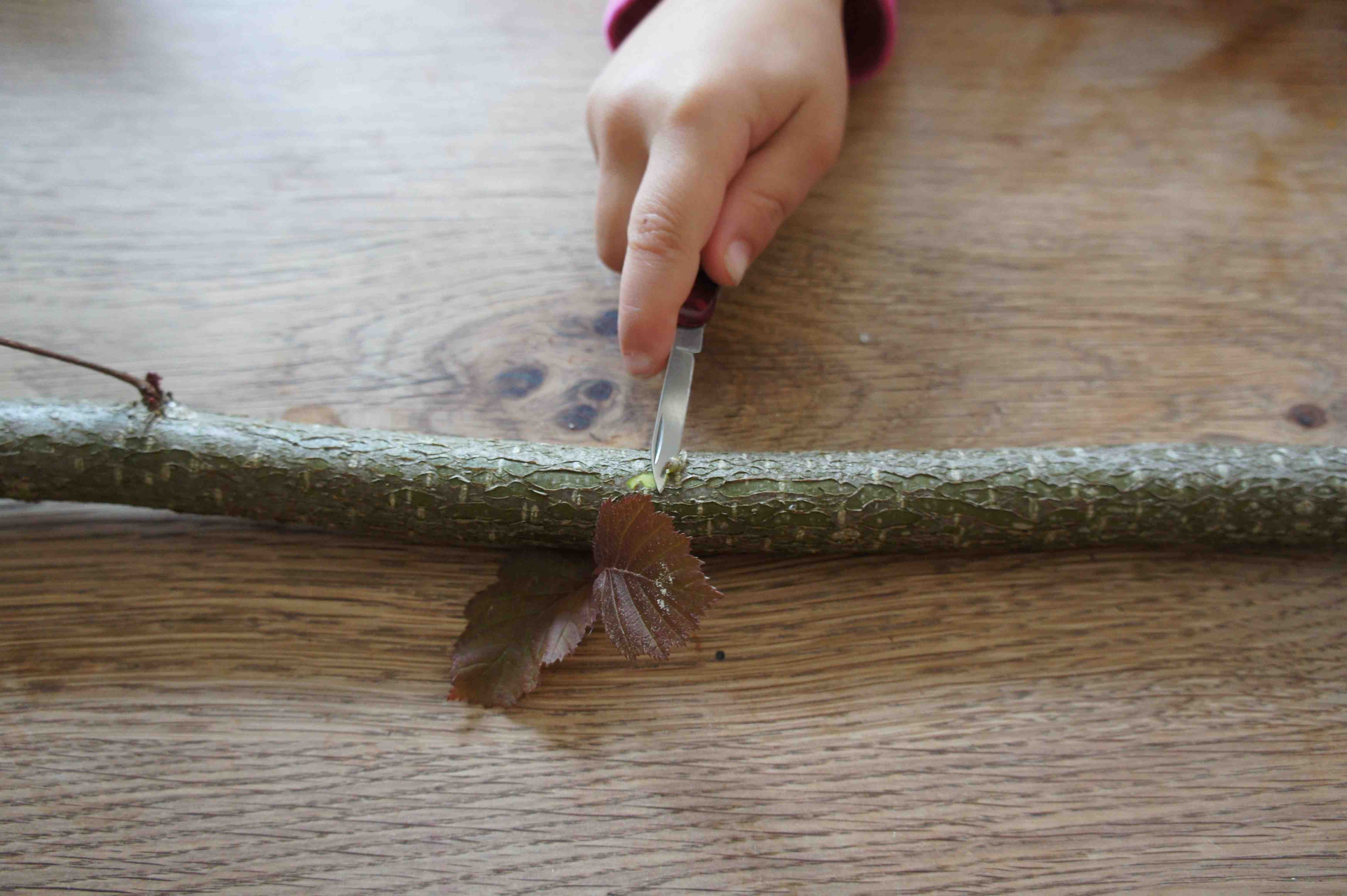 Wenn die Kinder mit dem Schweizer Taschenmesser die Zweige entfernen, bitte erinnert sie daran: Das Messer immer vom Körper wegbewegen. Foto: (c) Kindeoutdoor.de