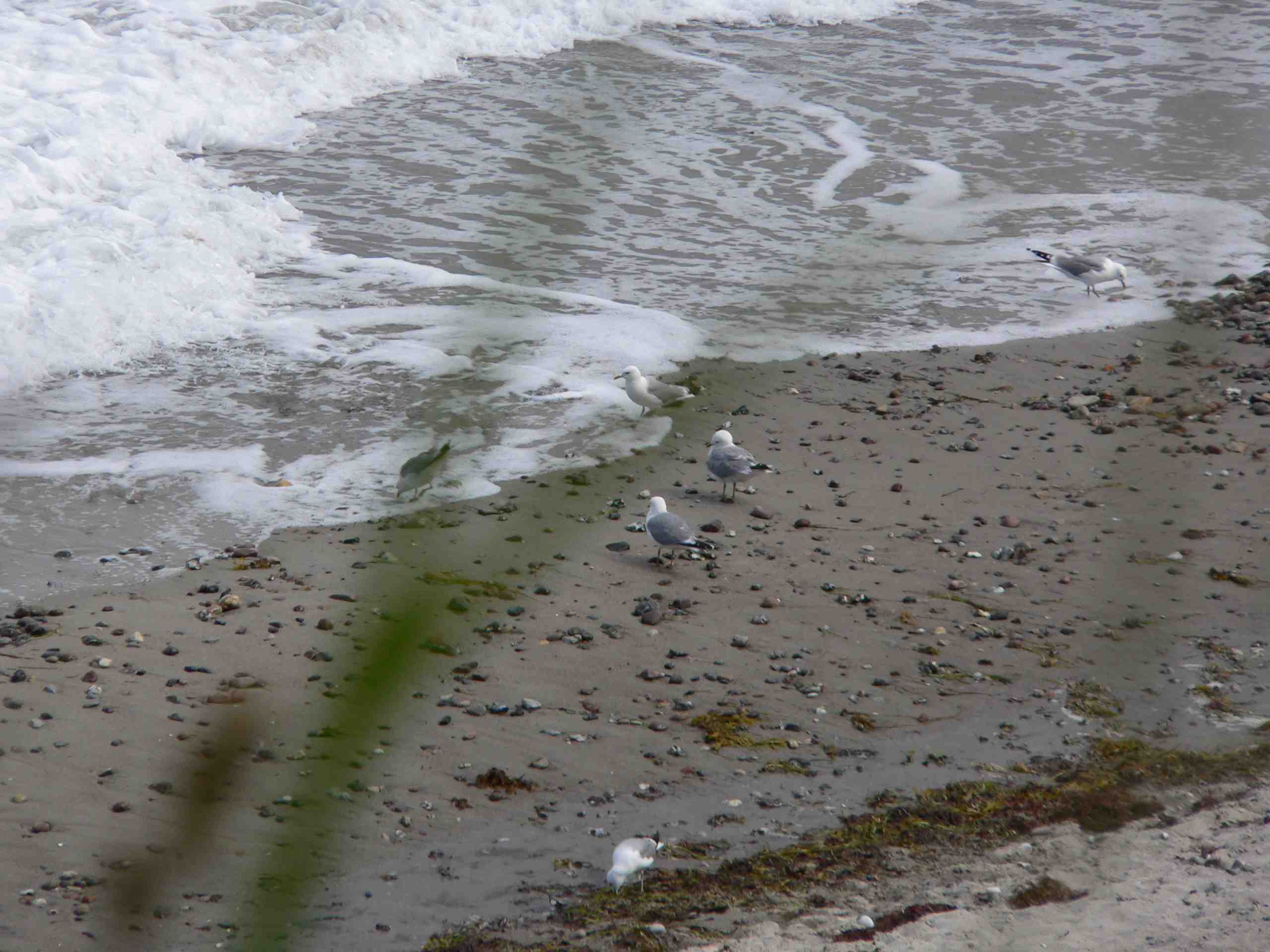Eine typische Strandszene auf Fehmarn im Früjahr. Foto: (c) Kinderoutdoor.de