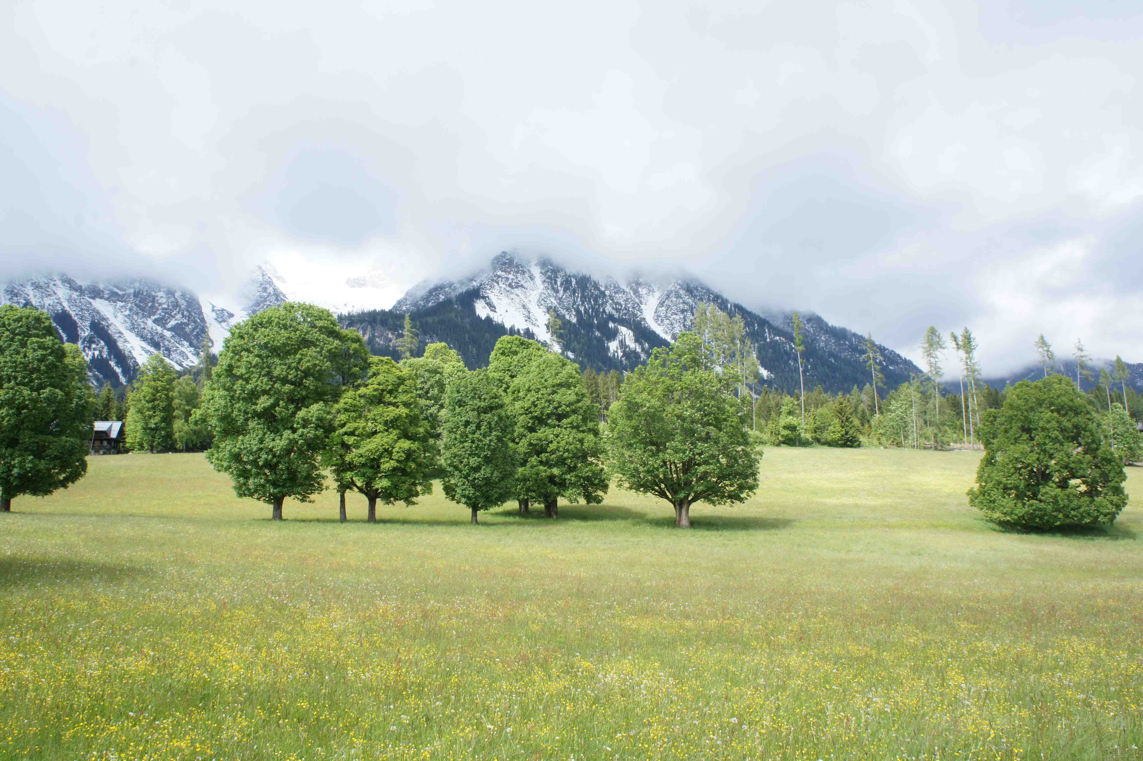 Eine leckeres Rezept aus der österreichischen Küche haben wir in Ramsau am Dachstein gehört: Die steirische Holzfällersuppe.Kinderleicht zu kochen! Foto: (c) Kinderoutdoor.de