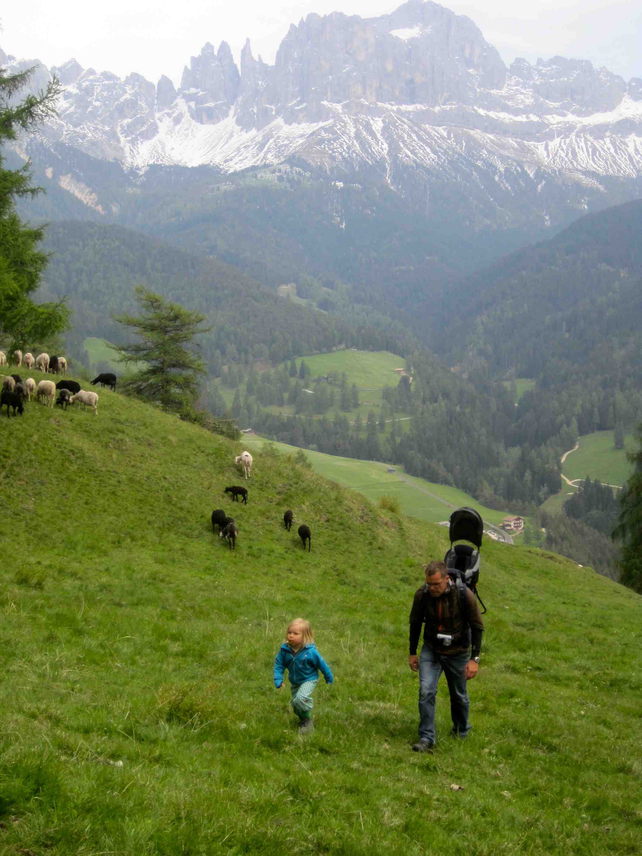 Kinder Wanderschuhe im Test: Zwischen Schafen, Lärchen und einem grandiosen Panorama.  Foto: (c) Kinderoutdoor.de