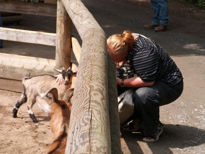 Im Bayerwald Tierpark Lohberg gibt es Arten aus dem Bayerischen und den Böhmerwald zu beobachten. Die absoluten Lieblinge der Kinder: Die Tiere im Streichelzoo. Foto: (c) Helmut J. Salzer / pixelio.de