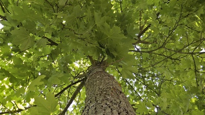 Wie sozial und umweltverträglich kann eine Outdoor Marke sein? Vaude legt die Karten auf den Tisch. Foto: (c) Andreas Morlok / pixelio.de