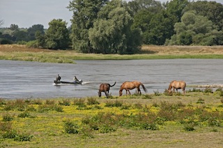 Urlaub in Brandenburg ist nach dem Hochwasser wieder nahezu uneingeschränkt möglich. Foto: (c) TMB Fotoarchiv Silbermann