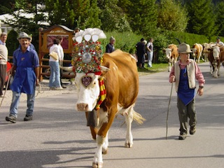 Einen feierlichen Almabtrieb in Sankt Vigil könnt Ihr in Südtirol sehen. Foto:(c) Kronplatz/ Südtirol/