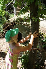 Im Wald mit Kindern bietet sich das Spiel Baumfinden an.  Foto:(c) Kinderoutdoor.de
