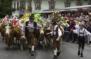 Almabtrieb ©TVB Kaiserwinkl/Tirol