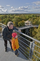 Auf dem Baumwipfelweg über dem Nationalpark Hainich.