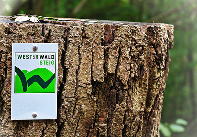 Wem der Westerwaldsteig im Herbst zu heftig ist, der steigt auf E-Bikes um. Die gibt es im Westerwald zu mieten. Foto: (c) Guenter Hamich / pixelio.de