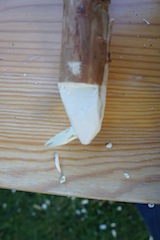 Zuerst das vordere Horn in das gebohrte Loch stecken. foto: (c) Kinderoutdoor.de