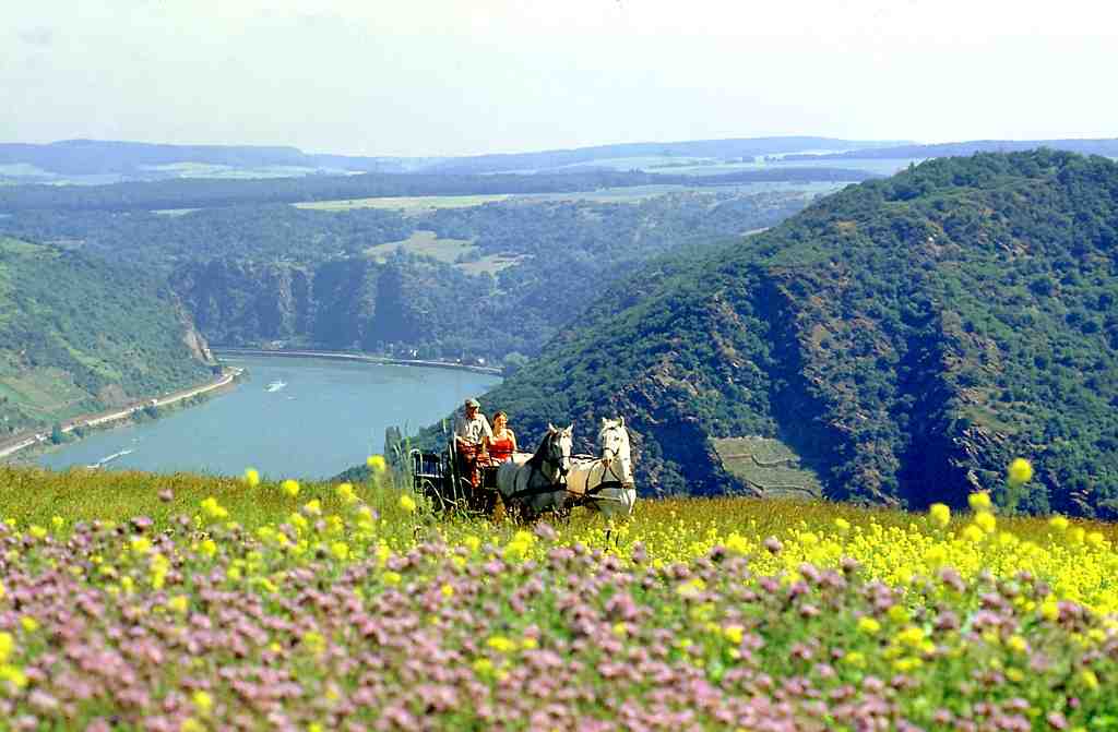 Kutschfahrten im Rheintal und eine Spielscheune für Kinder, das ist Urlaub auf dem Hof Hardthöhe. Foto: Hof Hardthöhe, Fam. Lanius-Heck, Oberwesel