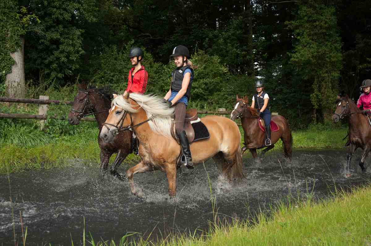 Das ganze Glück dieser Erde, liegt auf den Rücken der Pferde. Wer mit den Kindern auf dem Ponyhof Georgenbruch gewesen ist, kann das nur bestätigen. Foto: Ponyhof Georgenbruch, Fam. Schulze Zurmussen, Everswinke