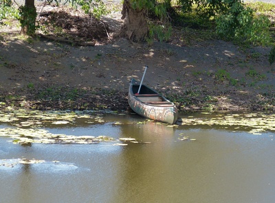 Auf der Bode lässt sich mit dem Kanu noch unberührte Natur entdecken.  Foto: (c) Dieter Schütz  / pixelio.de