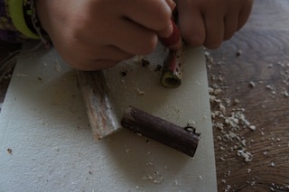 Mit den Buntstiften den Hollunder anmalen. Foto.(c) Kinderoutdoor.de