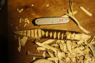Nun schnitzt Ihr die markanten Schuppen in das Krokodil. Foto. (c) kinderoutdoor.de
