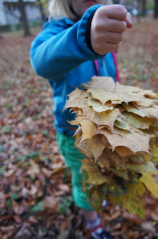 Bei unseren Bastelideen für den Herbst, sammelt Ihr fleißig Laub ein. Foto: (c) Kinderoutdoor.de