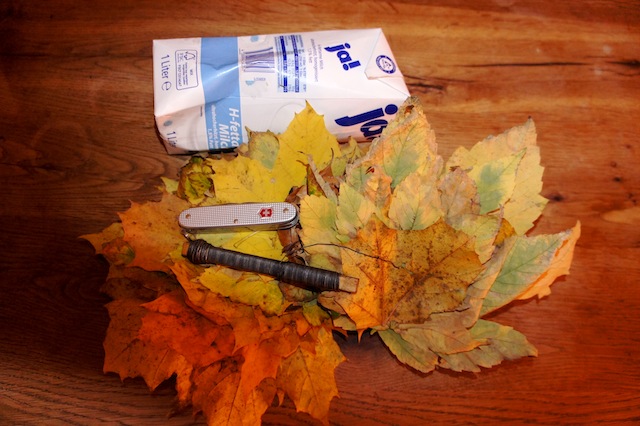 Bastelideen Herbst: Eine Vase aus Herbstlaub. Hier ist das Bastelmaterial, das Ihr braucht: Laub, Draht, Tetrapack und ein Taschenmesser. Foto: (c) Kinderoutdoor.de