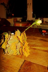 So sieht die Herbstlaub Vase aus! Foto: (c) Kinderoutdoor.de