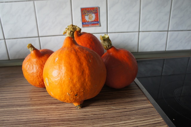 Ein raffiniertes Rezept für Kürbissuppe gibt es heute passend zum Herbstwetter.  Foto: (c) Kinderoutdoor.de