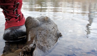 Wie die meisten Kamik Kinderhschuhe ist der Scarlet J 2 wasserdicht. Foto: (c) Kinderoutdoor.de