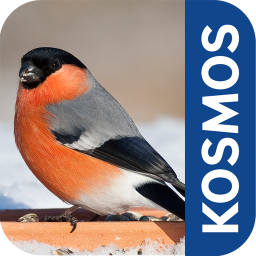 Vögel im Winter füttern und bestimmen. Mit der App vom Kosmos Verlag ist das alles kein Problem. Foto: (c) Kosmos Verlag