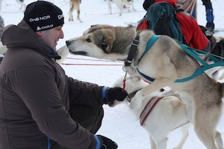 Schlittenhunde wollen Action! "Komm schon Jong, auf geht´s! Foto (c) Steffen
