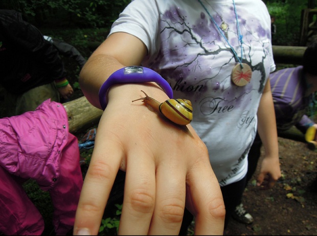 Mit Querwaldein erleben die Kinder im Wald , wie sich beispielsweise eine Schnecke anfühlt. Foto: (c) www.QuerWaldEin.de