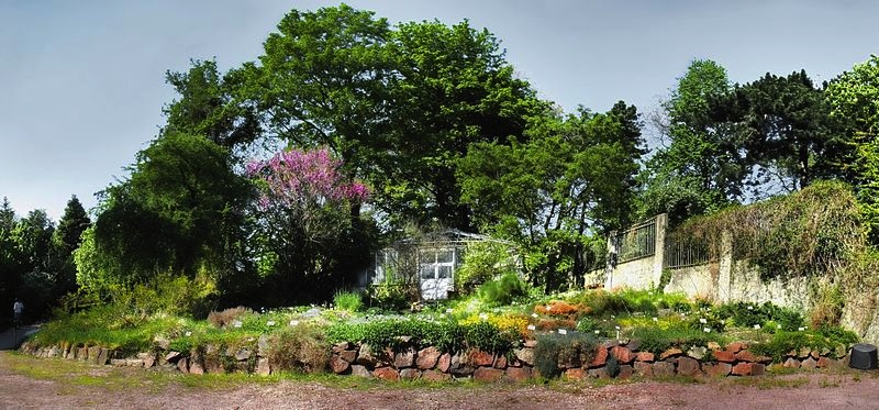 Der älteste botanische Garten Deutschlands ist in Jena. Foto: Martin Schrattenholz; Creative Commons Attribution-Share Alike 3.0 Germany