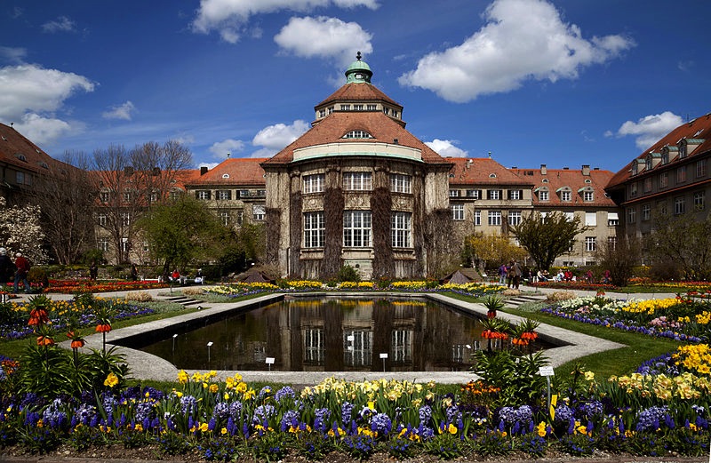 Es blüht im botanischen Garten München.  Foto: (c)Diego Delso, Wikimedia Commons, License CC-BY-SA 3.0