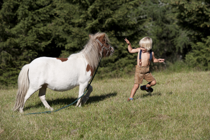 Was essen Ponys am liebsten? Kleine blonde Buben! Tierisch nah kommen sich die beiden am Katschberg. foto (c) Tourismusregion Katschberg/ Salzburger Land-Kärnten