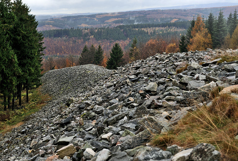Fleißig, fleißig die alten Kelten! Sie schütteten diesen Wall bei Otzenhausen auf. Foto: Cayambe; Wikipedia Lizenz: Creative Commons by-sa 3.0 de