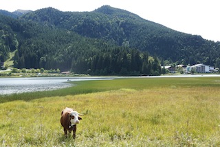 Der Spitzingsee ist der Ausgangspunkt zur Schönfeldhütte. Alle Gondoliere nehmen die Taubensteinbahn. Foto (c) Kinderoutdoor.de